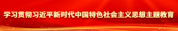 亚洲插鸡巴在线视频学习贯彻习近平新时代中国特色社会主义思想主题教育